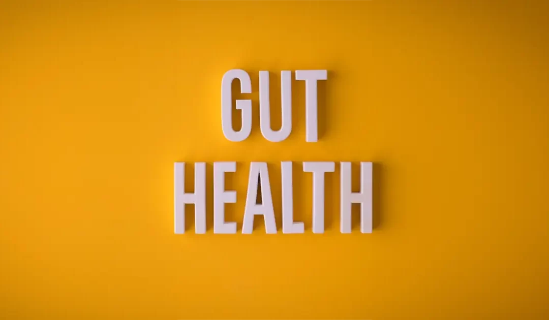 5 Reasons Why Gut Health is Vital for Women