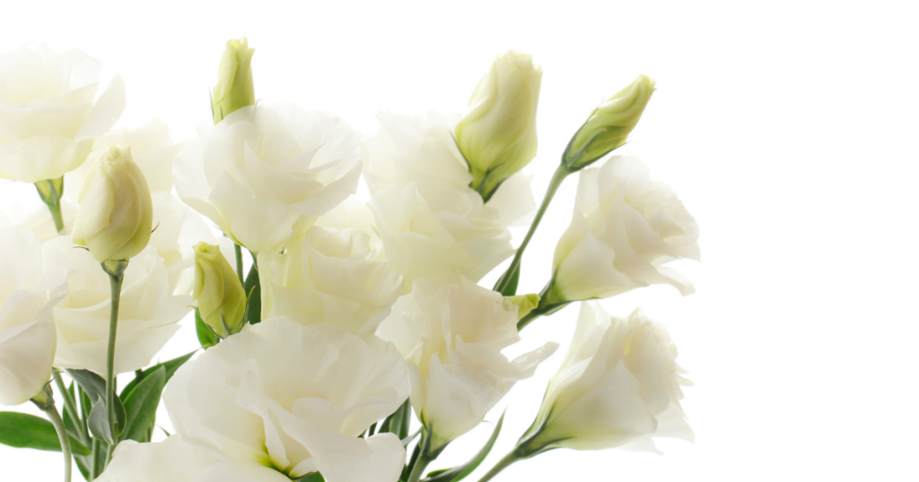 Planning a funeral is one of the most immediate, and pressing tasks.